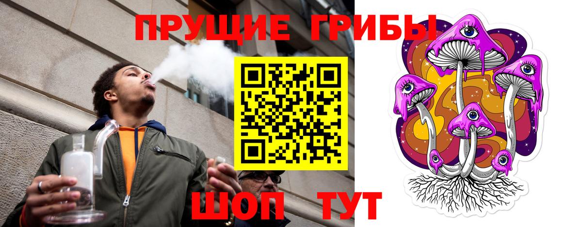 Псилоцибиновые грибы Cubensis  купить  цена  Галлюциногенные грибы ЛСД  Сафоново  Вход с VPN 